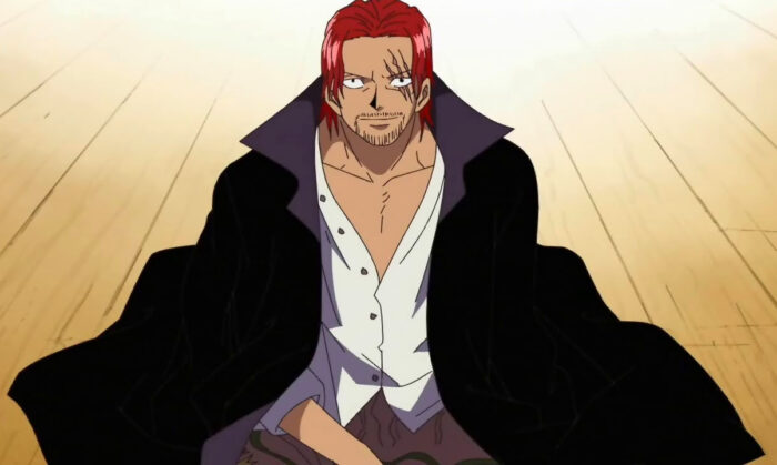 One piece character