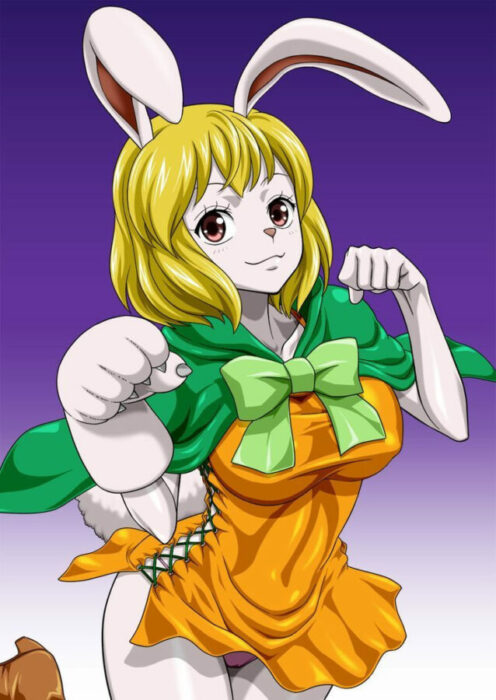 one piece carrot