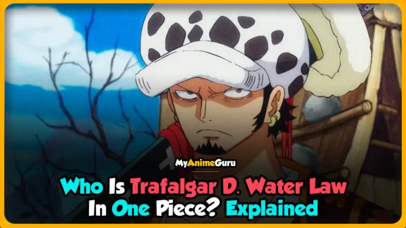 Who Is Trafalgar Law In One Piece? Powers Explained - Myanimeguru